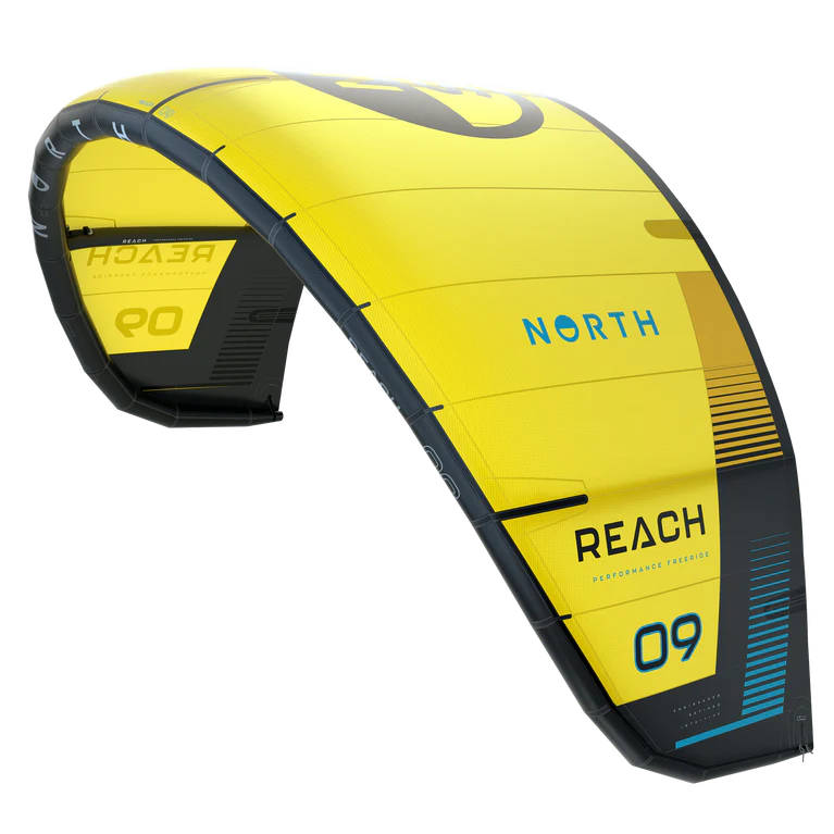 REACH 2024