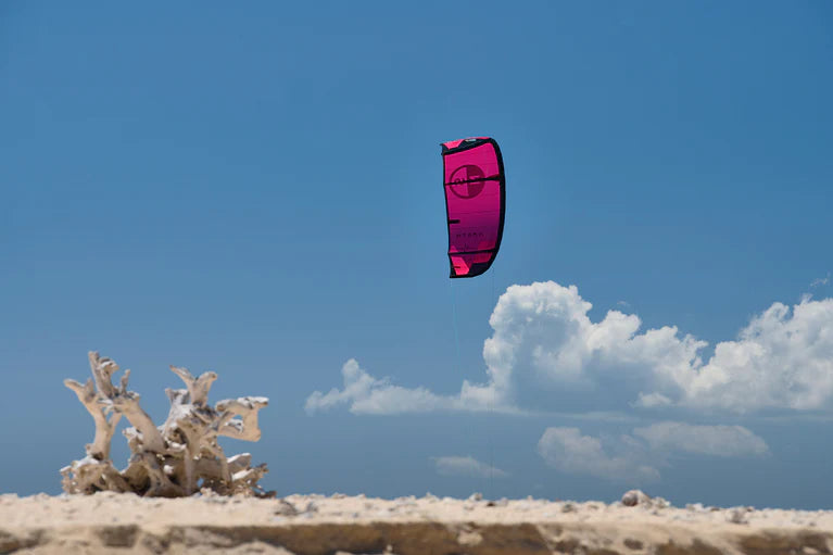 PULSE KITE 2024